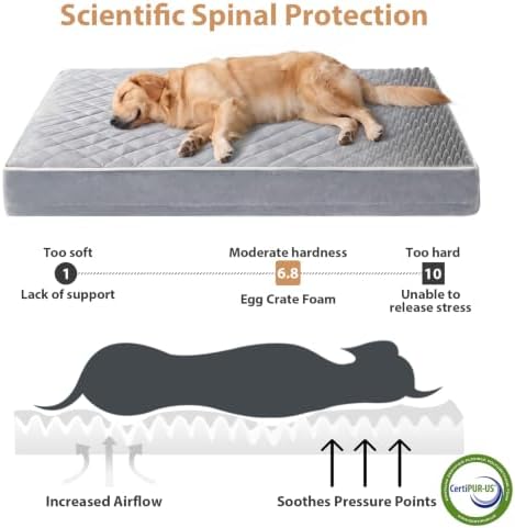 WNPETHOME Orthopedic XXL Dog Beds - Image 3