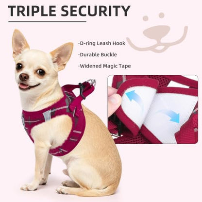 PUPTECK Dog Harness, Collar and Leash Set No Pull - Image 5