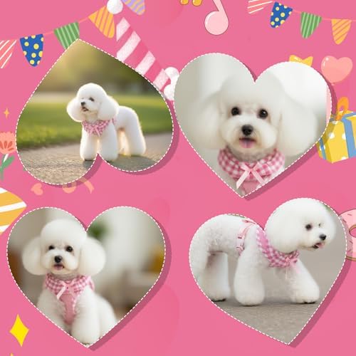EXPAWLORER Step-in Dog Harness Small Sized Collar and Leash Set - Image 7