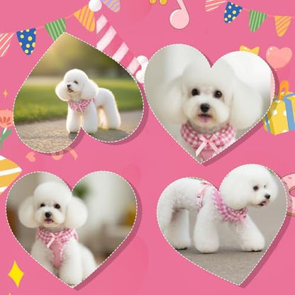 EXPAWLORER Step-in Dog Harness Small Sized Collar and Leash Set - Image 7