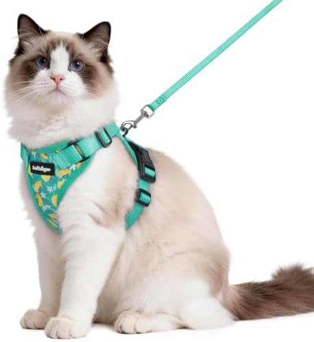 rabbitgoo Cat Harness and Leash Set, Escape Proof Vest, Lemon Grove by rabbitgoo