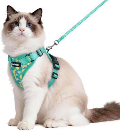 rabbitgoo Cat Harness and Leash Set, Escape Proof Vest, Lemon Grove by rabbitgoo