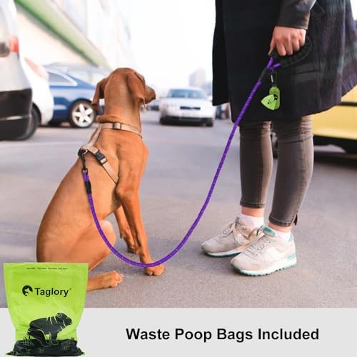 Taglory Rope Dog Leash for Small Medium Dogs, 4 FT Padded Handle - Image 2