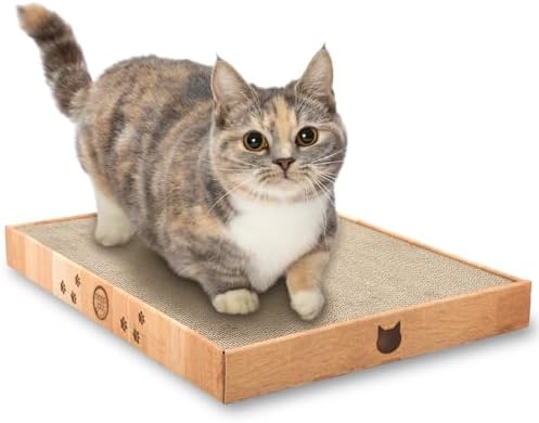 Necoichi Cardboard Cat Scratcher Bed by %E7%8C%AB%E5%A3%B1