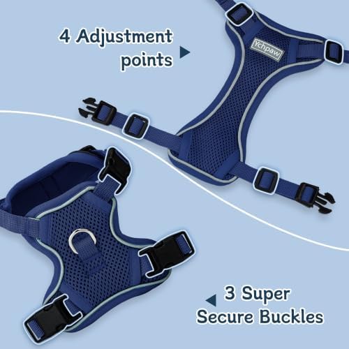 Small Dog Harness and Leash Set, Adjustable Small Sized Pet Vest - Image 3