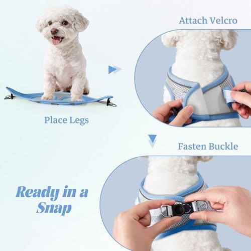No Pull Dog Puppy Harness and Leash Set Reflective Mesh Vest X-Small - Image 4