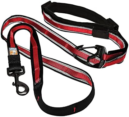 Kurgo Reflective 6-in-1 Quantum Dog Leash, Barn Red by Kurgo