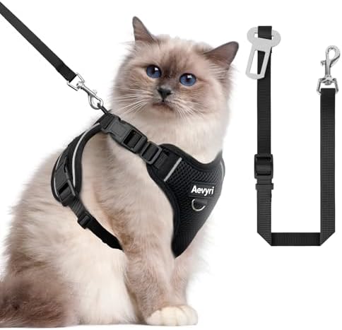 Cat Harness, Cat Harness and Leash by Unknown
