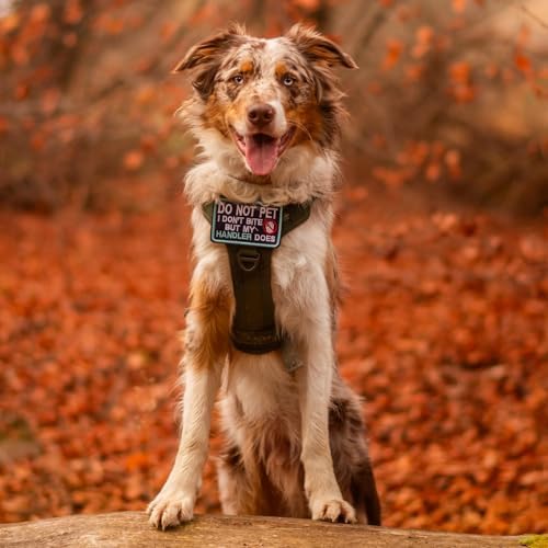 rabbitgoo Tactical Dog Harness Medium Sized, No Pull Service Pet Vest - Image 2