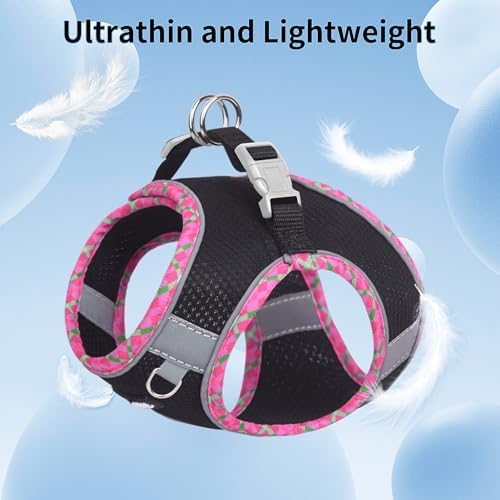 AIITLE Tiny Dog Harness and Leash Set, Step-in Vest - Image 4