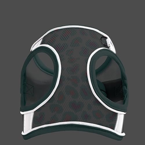 Step in Mesh Dog Harness and Leash Set - Image 3