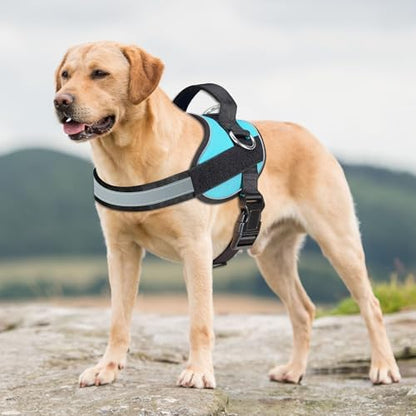 Haapaw Essential Dog Harness, No Pull Pet Vest - Image 3
