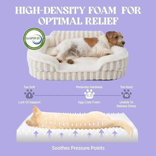 LE SURE Cute Cozy High Back Orthopedic L Plus Dog Bed - Image 4
