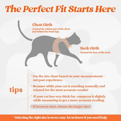 rabbitgoo Cat Harness and Leash Set, Step-in Soft Vest - Image 2