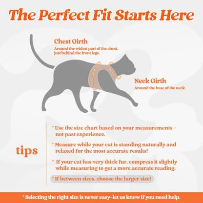rabbitgoo Cat Harness and Leash Set, Step-in Soft Vest - Image 2