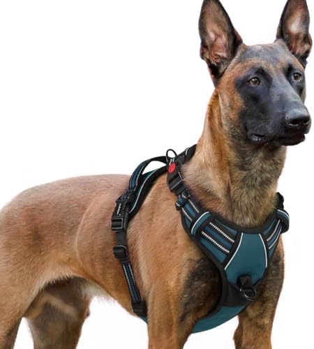 rabbitgoo Dog Harness for Large, Updated Easy On & Off by rabbitgoo