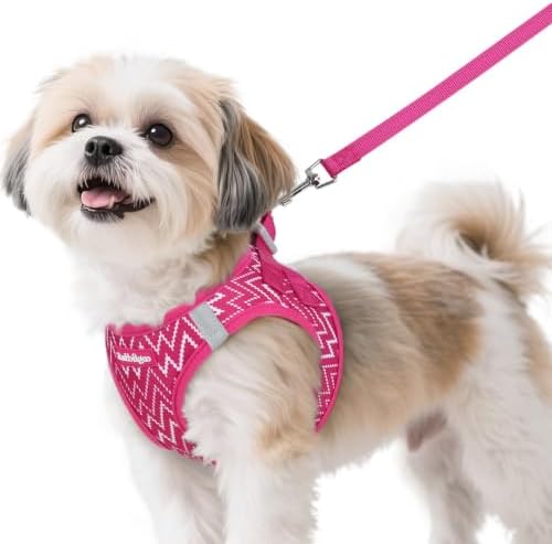 rabbitgoo Dog Harness Small Sized and Leash Set, Step in Soft Vest by rabbitgoo