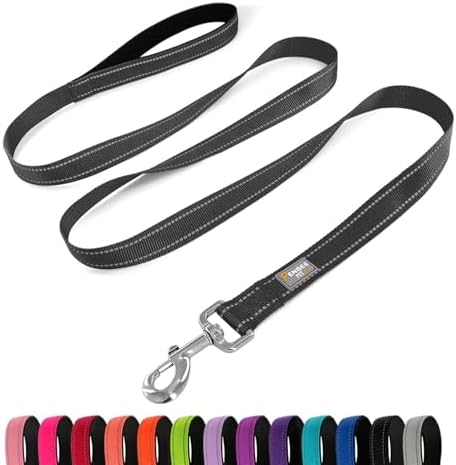 6 FT Basic Dog Leash for Large Dogs by Penseepet