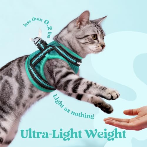 rabbitgoo Cat Harness and Leash Set, Step-in Soft Vest, Turquoise & Green - Image 6