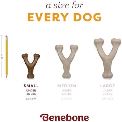 Benebone Wishbone Chew Toy for Aggressive Chewers, Pumpkin Spice - Image 5