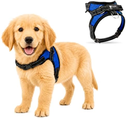 No Pull Reflective Adjustable Dog Harness by Copatchy