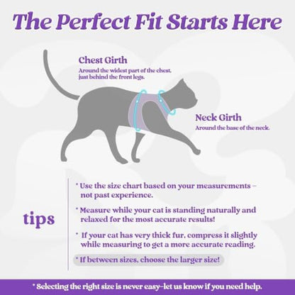 rabbitgoo Cat Harness and Leash Set, Step-in Soft Vest - Image 2