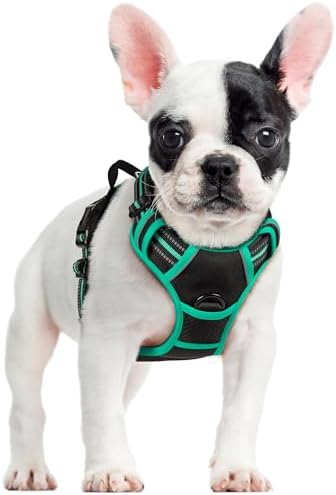 rabbitgoo Dog Harness, No Pull for Small Dogs by rabbitgoo