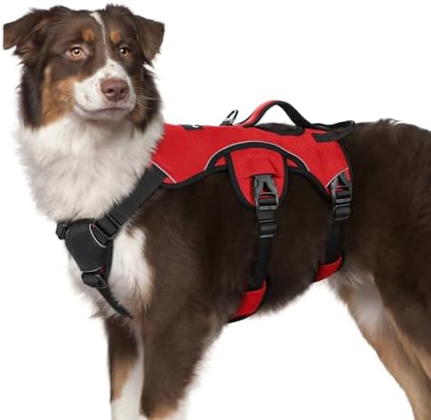 rabbitgoo Escape Proof Dog Harness by rabbitgoo