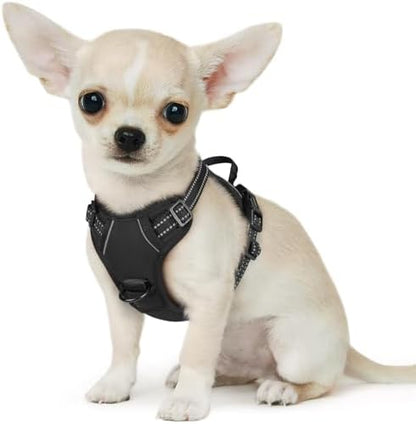 Eagloo Dog Harness for Small Dogs, No Pull Pet Vest by GoExplorewithEagloo