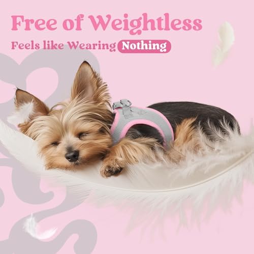 rabbitgoo Step-in Small Dog Harness, Puppy Vest - Image 4