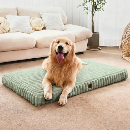 Medium Dog Bed Orthopedic Foam by Cozila