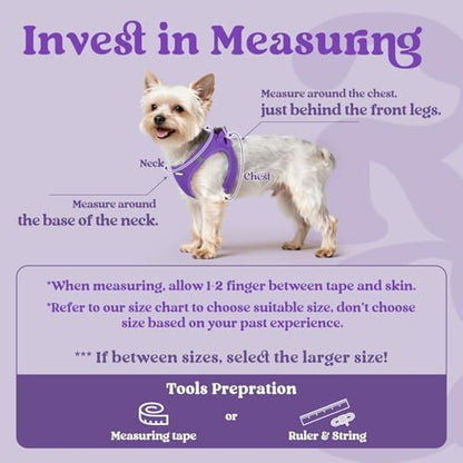 rabbitgoo Step-in Small Dog Harness, Puppy Vest - Image 2