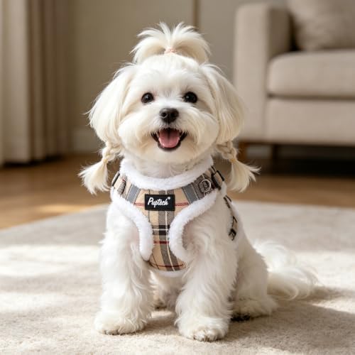 PUPTECK Dog Harness and Leash Set Small Sized, Step in No Pull Adjustable Puppy - Image 6
