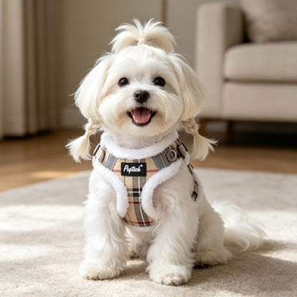 PUPTECK Dog Harness and Leash Set Small Sized, Step in No Pull Adjustable Puppy - Image 6