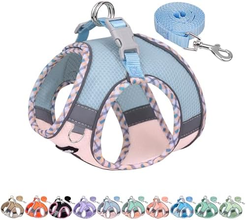 AIITLE Small Dog Harness and Leash Set by AIITLE-FORPETSBETTERLIFE