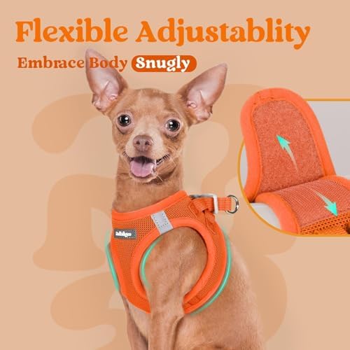 rabbitgoo Step-in Small Dog Harness, Puppy Vest - Image 6