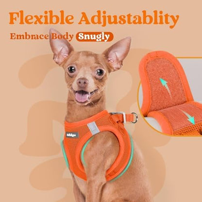 rabbitgoo Step-in Small Dog Harness, Puppy Vest - Image 6