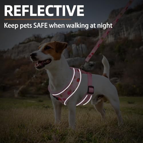 PUPTECK Small Dog Harness and Leash Set No Pull - Image 6