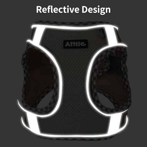 AIITLE Tiny Dog Harness and Leash Set, Step-in Vest - Image 4