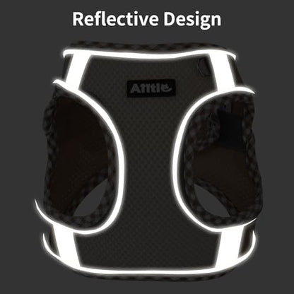 AIITLE Small Dog Harness and Leash Set - Image 2