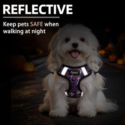PUPTECK Halloween Dog Harness and Leash Set Small Sized, Step in No Pull - Image 4