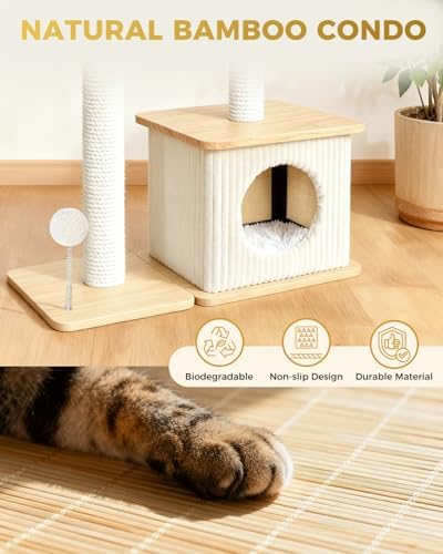 Small Cat Tree for Indoor Kittens - Image 3