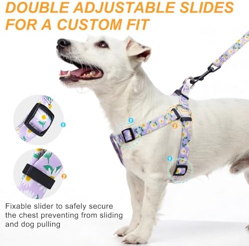 BEAUTYZOO No Pull Dog Harness and Leash Set - Image 2