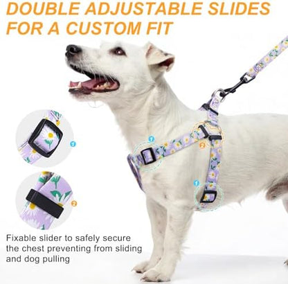 BEAUTYZOO No Pull Dog Harness and Leash Set - Image 2
