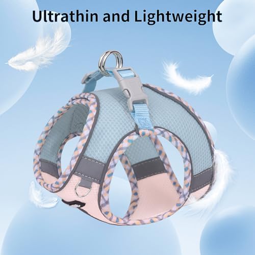 AIITLE Escape-Proof Dog Harnesss and Leash Set - Image 5