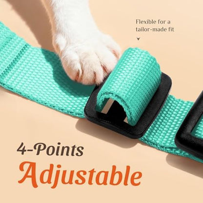 Dooradar Cat Harness and Leash Set, Adjustable and Escape Proof - Image 3