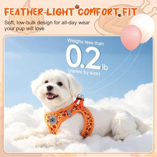 BEAUTYZOO Small Dog Harness and Leash Set, Step in No Choke No Pull Soft Mesh - Image 2