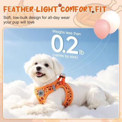 BEAUTYZOO Small Dog Harness and Leash Set, Step in No Choke No Pull Soft Mesh - Image 2