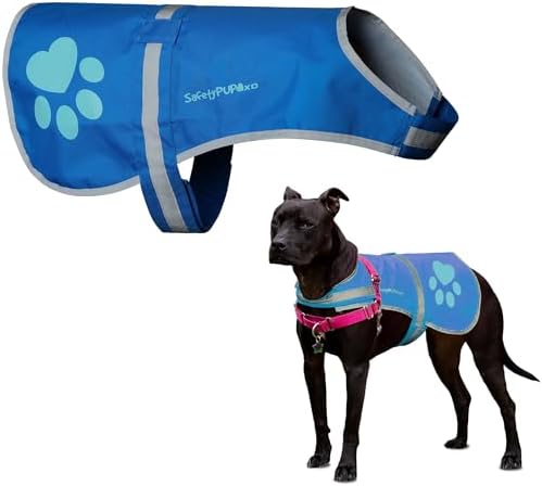 Reflective Dog Vest, Hi Vis Safety Gear by SafetyPUPXD