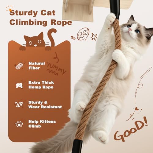 2026 New 4-Level Over Door Cat Tree, Door Hanging Cat Shelf - Image 6